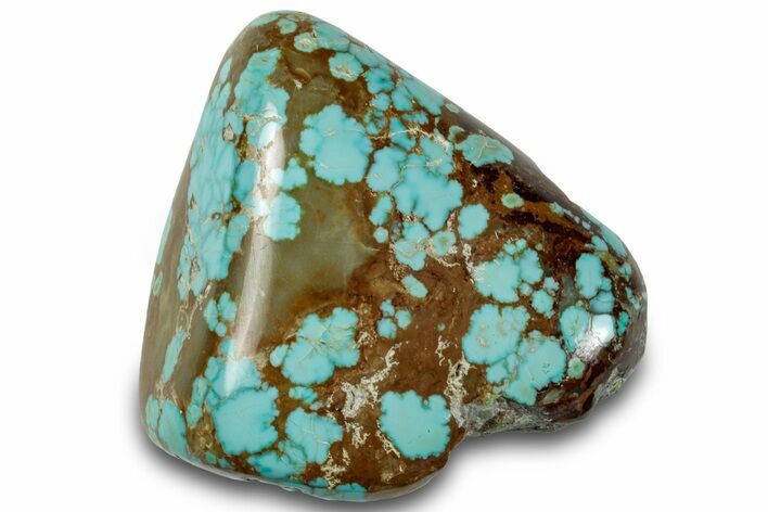 Polished Turquoise Specimen - Number Mine, Carlin, NV #260498